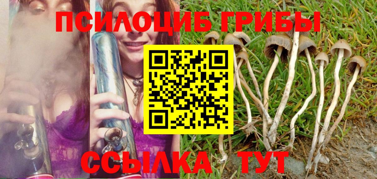 Ивантеевка  Галлюциногенные грибы ЛСД  Вход с VPN 